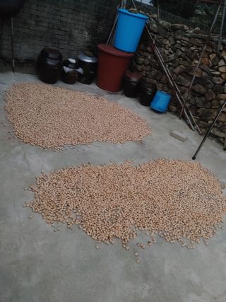 강경옥님의 자유주제 · 자유게시판 작성글 사진