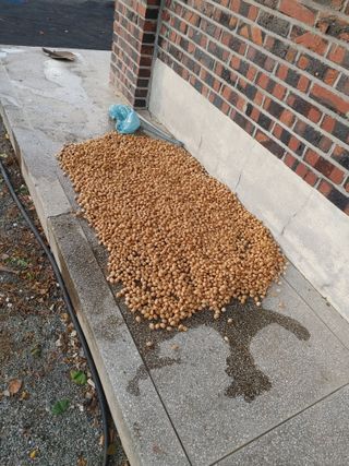 강경옥님의 자유주제 · 자유게시판 작성글 사진