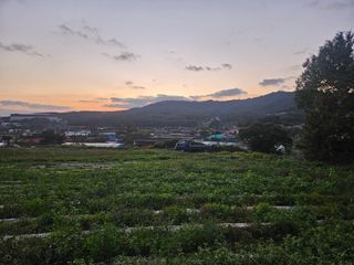 권영님의 자유주제 · 사진전 작성글 사진