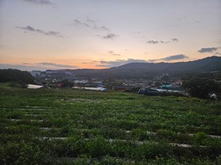 권영님의 자유주제 · 사진전 작성글 사진