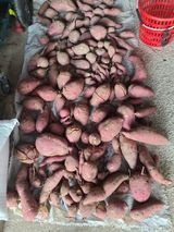 팜모닝 · 게시글 이미지