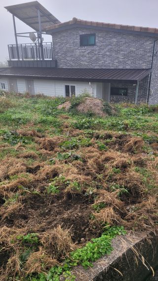 조용길님의 자유주제 · 자유게시판 작성글 사진