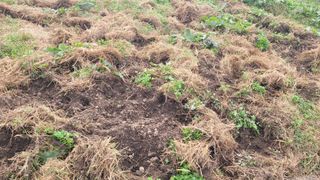 조용길님의 자유주제 · 자유게시판 작성글 사진