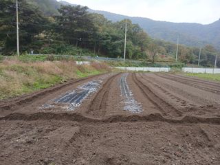 송명자님의 자유주제 · 자유게시판 작성글 사진