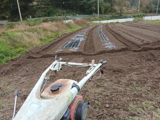 송명자님의 자유주제 · 자유게시판 작성글 사진
