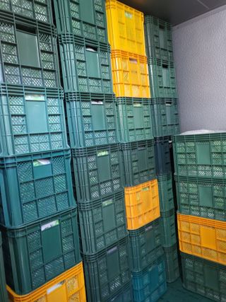 김재덕님의 포도 · 영농일지 작성글 사진