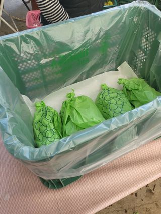 김재덕님의 포도 · 영농일지 작성글 사진