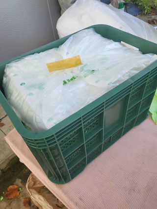 김재덕님의 포도 · 영농일지 작성글 사진