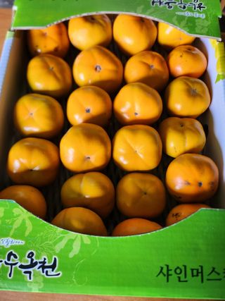 복숭아님의 자유주제 · 자유게시판 작성글 사진