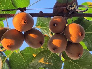 복숭아님의 자유주제 · 자유게시판 작성글 사진