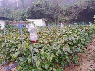 김연수님의 11월 농사 계획 공유하기 · 참여글 작성글 사진