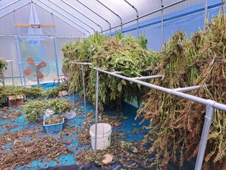 김연수님의 11월 농사 계획 공유하기 · 참여글 작성글 사진