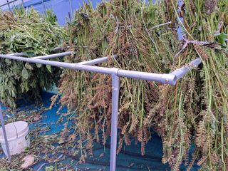 김연수님의 11월 농사 계획 공유하기 · 참여글 작성글 사진