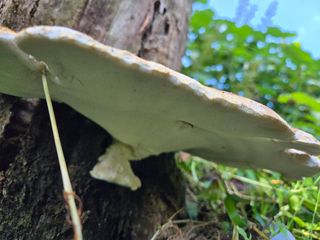 농막쥔님의 자유주제 · 자유게시판 작성글 사진