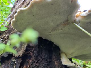 농막쥔님의 자유주제 · 자유게시판 작성글 사진