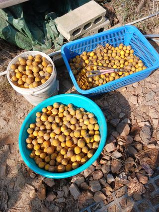 상민님의 작성글 사진