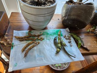 농막쥔님의 자유주제 · 자유게시판 작성글 사진