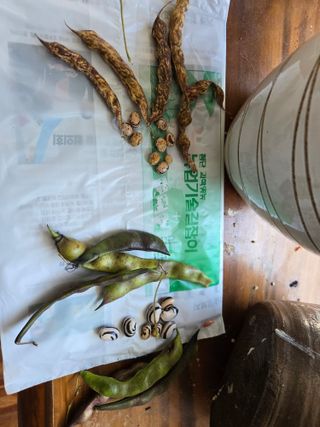 농막쥔님의 자유주제 · 자유게시판 작성글 사진