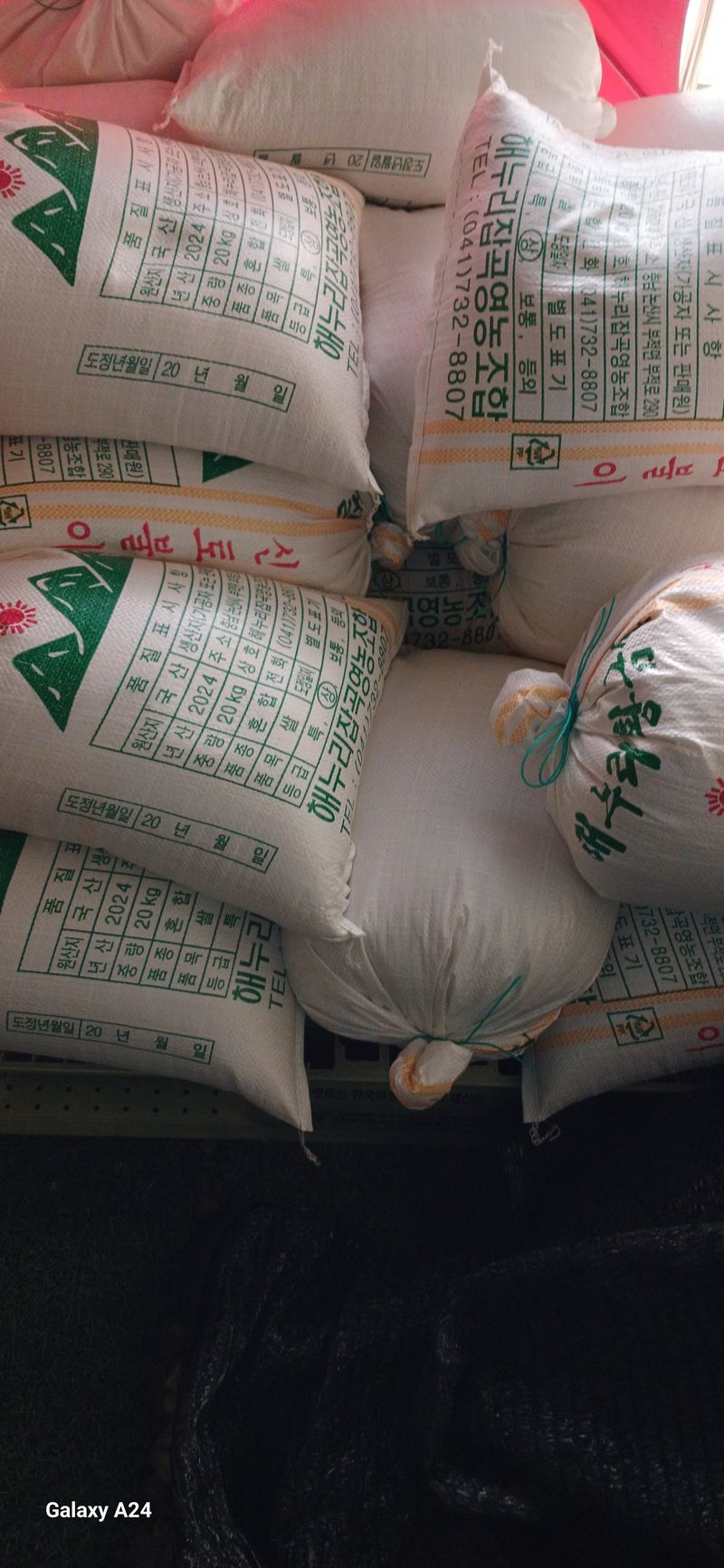 장터 상품 [삼광쌀 20키로 무료배송] 썸네일