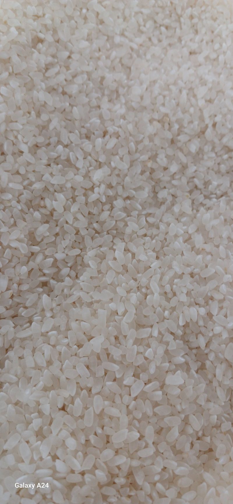 논산 농부 부인님의 장터 판매 상품 [삼광쌀 20키로 무료배송] 첨부 사진