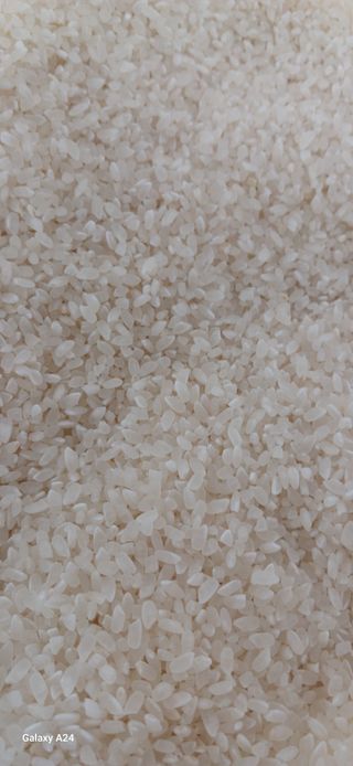 논산 농부 부인님의 작성글 사진