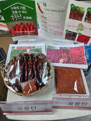 대산농사대장님의 고추 · 품종•종자 작성글 사진