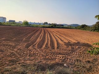 박서영 님의 벼 · 영농일지 작성글 사진