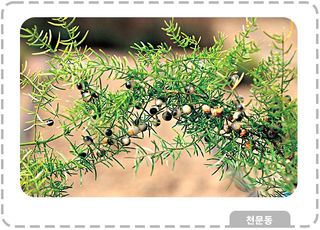 이창신님의 자유주제 · 자유게시판 작성글 사진