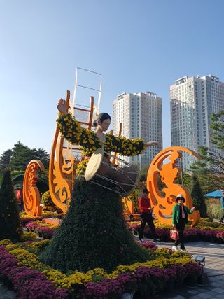 작은소나무님의 자유주제 · 자유게시판 작성글 사진