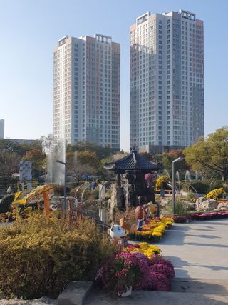 작은소나무님의 자유주제 · 자유게시판 작성글 사진