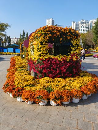 작은소나무님의 자유주제 · 자유게시판 작성글 사진
