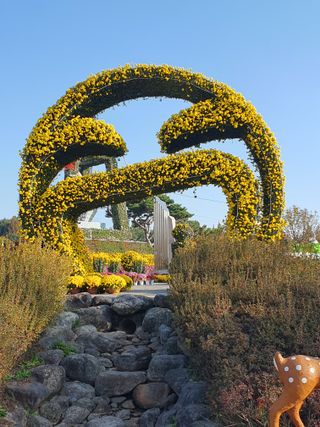 작은소나무님의 자유주제 · 자유게시판 작성글 사진