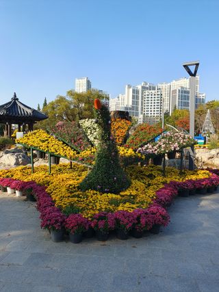 작은소나무님의 자유주제 · 자유게시판 작성글 사진