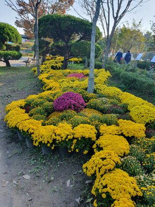 작은소나무님의 자유주제 · 자유게시판 작성글 사진