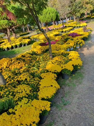 작은소나무님의 자유주제 · 자유게시판 작성글 사진