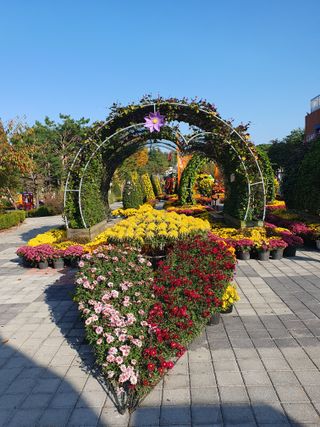 작은소나무님의 자유주제 · 자유게시판 작성글 사진