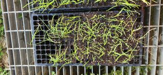 이명화님의 자유주제 · 자유게시판 작성글 사진