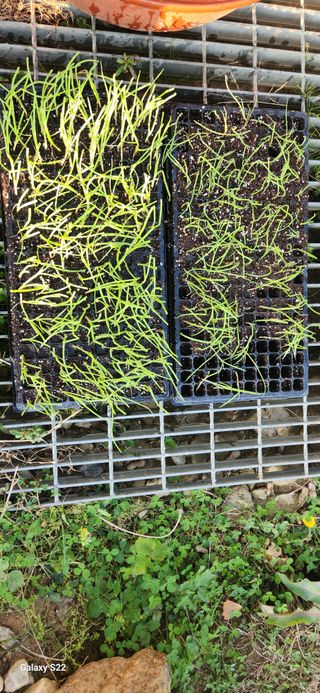 이명화님의 자유주제 · 자유게시판 작성글 사진