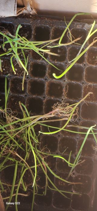 이명화님의 자유주제 · 자유게시판 작성글 사진