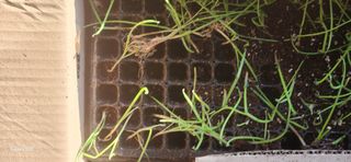 이명화님의 자유주제 · 자유게시판 작성글 사진