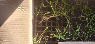 이명화님의 자유주제 · 자유게시판 작성글 사진