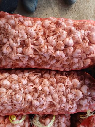 김재중님의 자유주제 · 자유게시판 작성글 사진