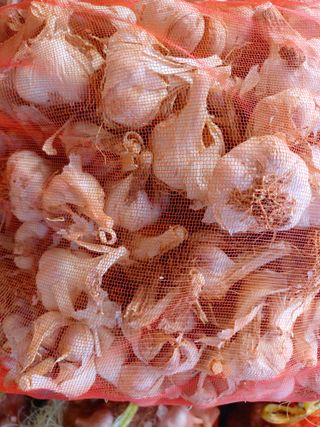 김재중님의 자유주제 · 자유게시판 작성글 사진