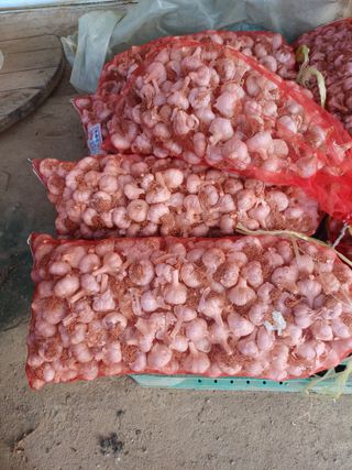 김재중님의 자유주제 · 자유게시판 작성글 사진