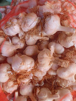 김재중님의 자유주제 · 자유게시판 작성글 사진