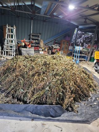 이의도님의 자유주제 · 자유게시판 작성글 사진