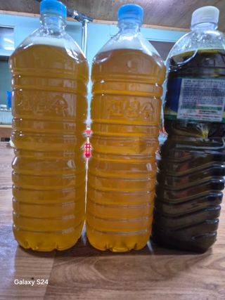 김정술님의 들깨 · 영농일지 작성글 사진