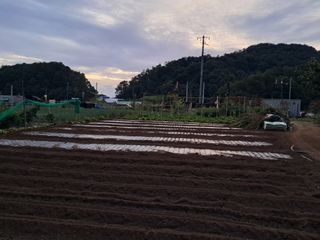 마평 농원님의 자유주제 · 자유게시판 작성글 사진