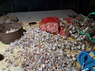 마평 농원님의 자유주제 · 자유게시판 작성글 사진