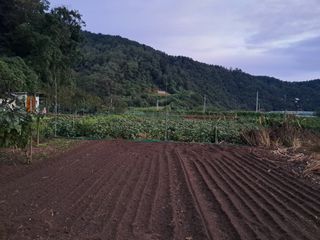 마평 농원님의 자유주제 · 자유게시판 작성글 사진